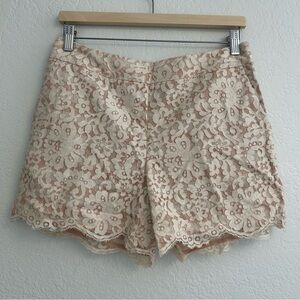 Cartonnier Anthropologie Lace Shorts - Size 6